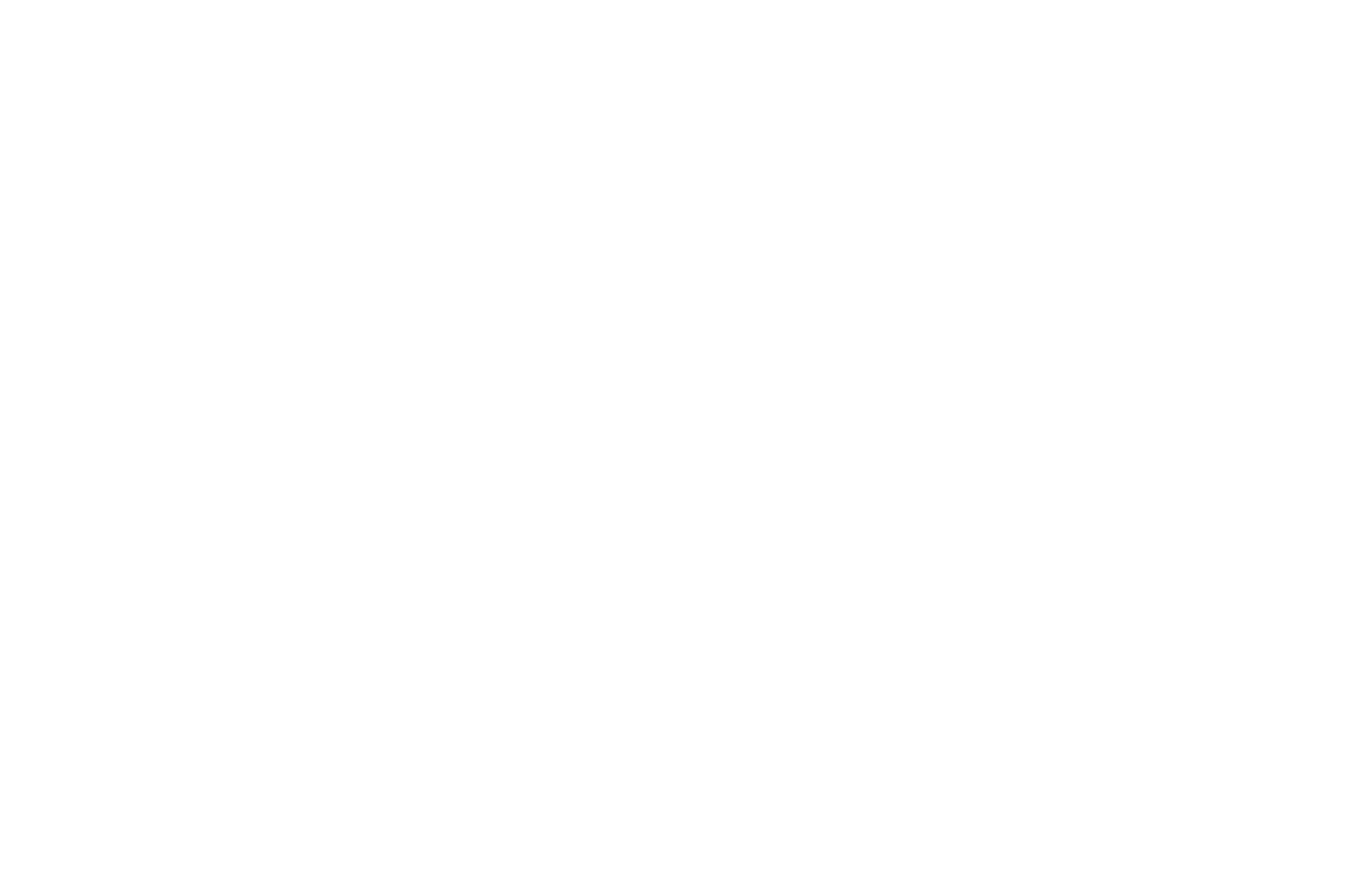 Palma doro mexico international film festival rosarito 2010 (1)